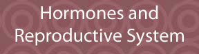 Hormones & /Reproductive System