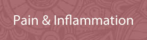 Pain & Inflammation