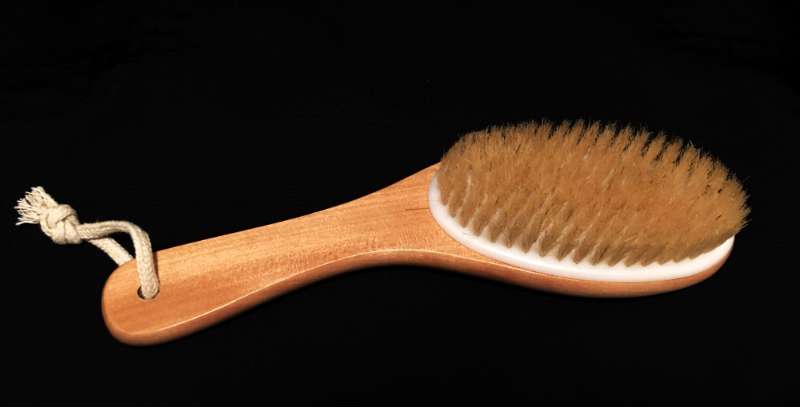 Dry Skin Brush